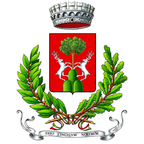 Cingoli